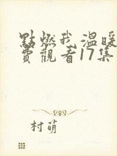 点燃我温暖你免费观看17集