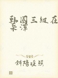 韩国三级在线李采潭
