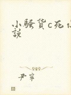 小骚货c死你小说