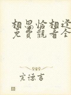 相思恰相逢短剧免费观看全集高清