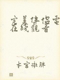 完美伴侣电视剧在线观看