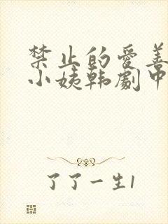 禁止的爱善良的小姨韩剧中文字幕