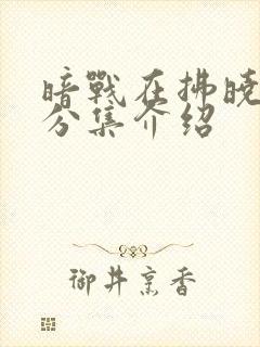 暗战在拂晓之前分集介绍