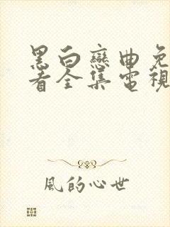 黑白恋曲免费观看全集电视剧高清