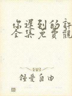 你迟到的许多年全集免费观看