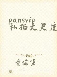 pansvip私拍大尺度