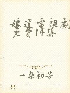 娘道电视剧全集免费14集封面