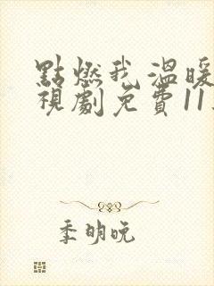 点燃我温暖你电视剧免费11集封面