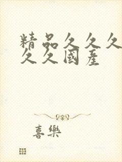 精品久久久久久久久国产