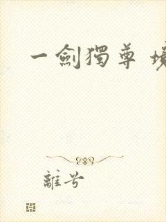 一剑独尊 境界封面