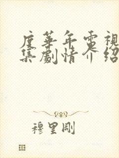 度华年电视剧分集剧情介绍
