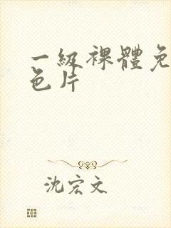 一级裸体免费黄色片