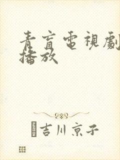 青盲电视剧免费播放