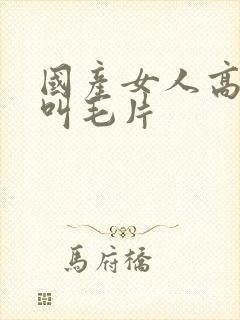 国产女人高潮大叫毛片