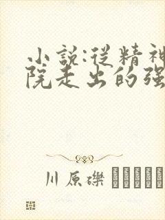 小说:从精神病院走出的强者封面