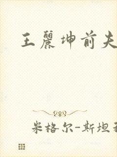 王丽坤前夫是谁