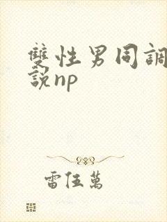 双性男同调教小说np