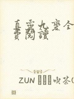 真灵九变全文免费阅读封面