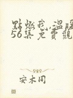 点燃我,温暖你56集免费观看