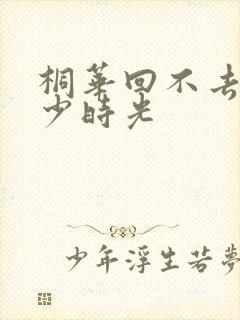 桐华回不去的年少时光