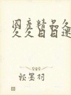 国产精品久久久久久日日迷魂汤