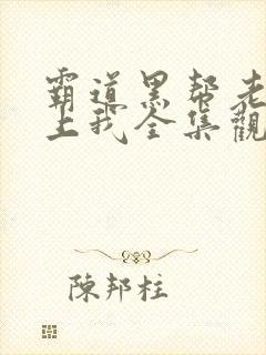 霸道黑帮老大爱上我全集观看封面