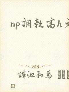np调教高h文