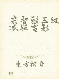 宋智雅三级无删减版电影