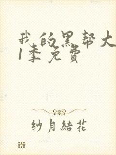 我的黑帮大佬第1季免费