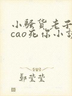 小骚货老子今天cao死你小说