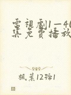 电视剧1—40集免费播放