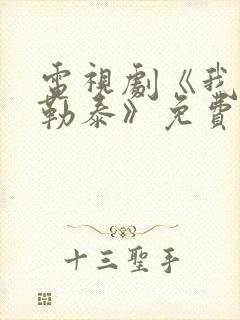 电视剧《我的阿勒泰》免费观看