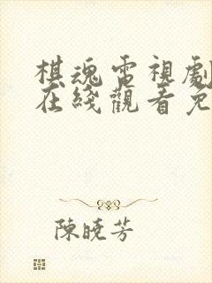棋魂电视剧全集在线观看免费播放封面