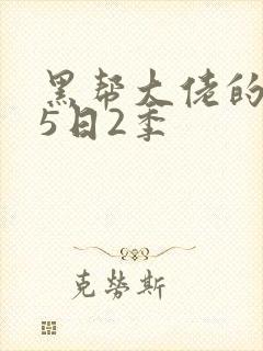 黑帮大佬的365日2季