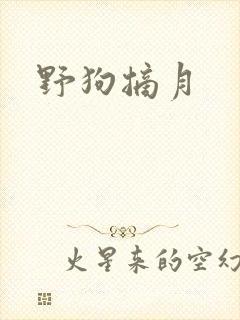 野狗摘月封面