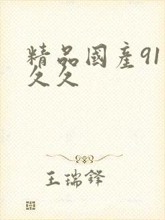 精品国产91久久久封面