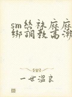 sm丝袜麻麻捆绑调教高潮