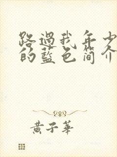 路过我年少时光的蓝色简介