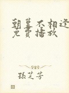 朝暮不相逢短剧免费播放
