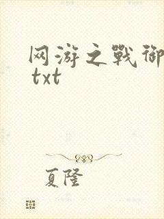 网游之战御天下 txt