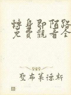 转身即陌路短剧免费观看全集封面