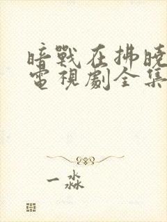 暗战在拂晓之前电视剧全集免费看