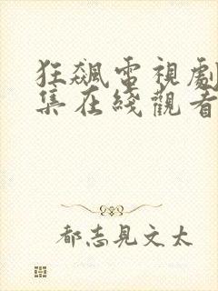 狂飙电视剧40集在线观看免费破晓