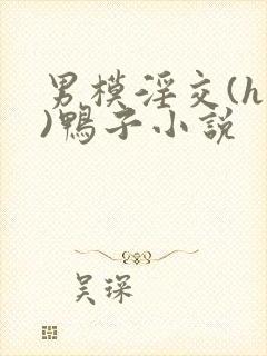 男模淫交(h高)鸭子小说