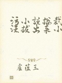 污小说总裁整夜没拔出来小说在线阅读