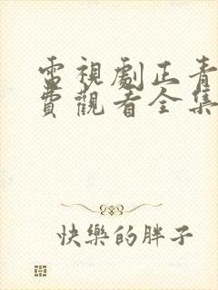 电视剧正青春免费观看全集高清