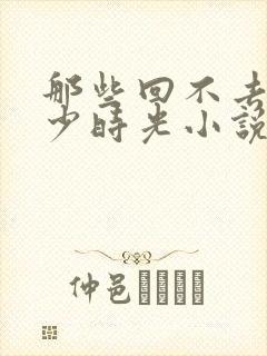 那些回不去的年少时光小说免费