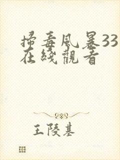 扫毒风暴33集在线观看