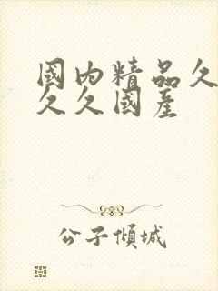 国内精品久久久久久国产