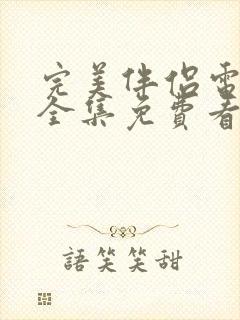 完美伴侣电视剧全集免费看封面